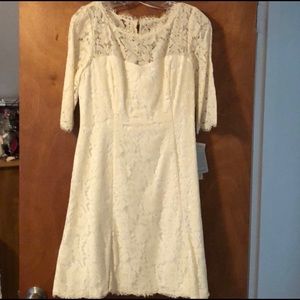 Eliza J Tulip Ivory Dress size 10